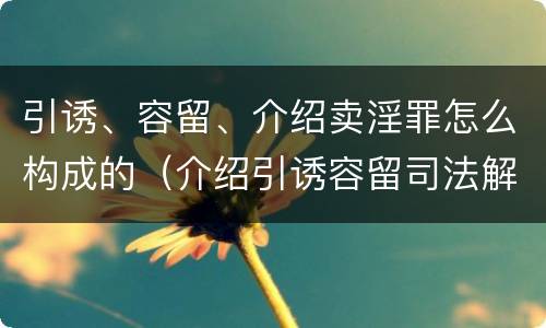 引诱、容留、介绍卖淫罪怎么构成的（介绍引诱容留司法解释）