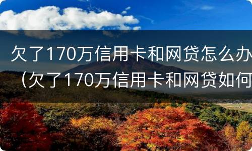 欠了170万信用卡和网贷怎么办（欠了170万信用卡和网贷如何翻身）