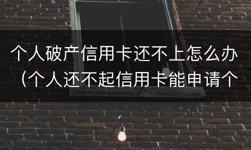 个人破产信用卡还不上怎么办（个人还不起信用卡能申请个人破产吗）