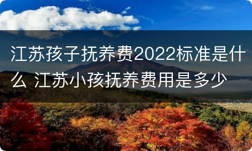 江苏孩子抚养费2022标准是什么 江苏小孩抚养费用是多少