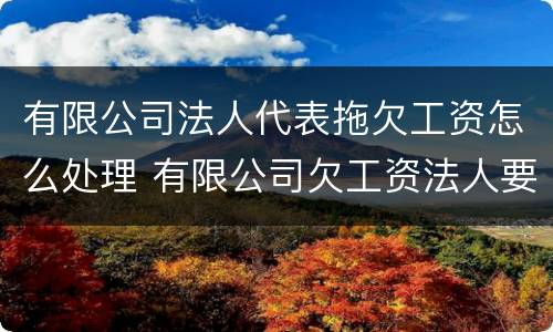 有限公司法人代表拖欠工资怎么处理 有限公司欠工资法人要承担责任吗