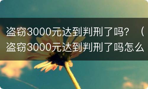 盗窃3000元达到判刑了吗？（盗窃3000元达到判刑了吗怎么判）
