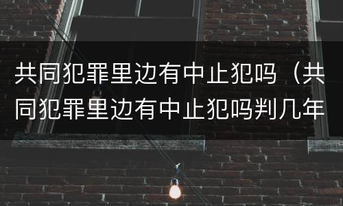 共同犯罪里边有中止犯吗（共同犯罪里边有中止犯吗判几年）