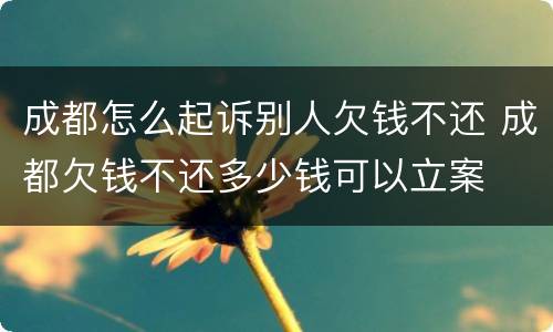 成都怎么起诉别人欠钱不还 成都欠钱不还多少钱可以立案