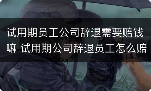 试用期员工公司辞退需要赔钱嘛 试用期公司辞退员工怎么赔偿金