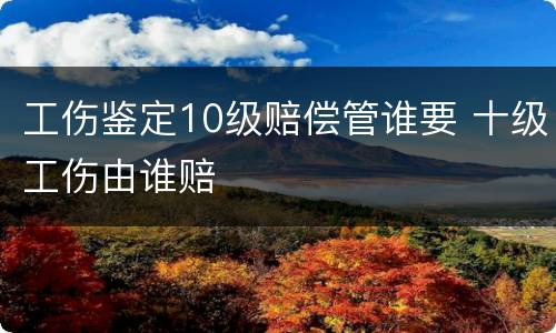 工伤鉴定10级赔偿管谁要 十级工伤由谁赔