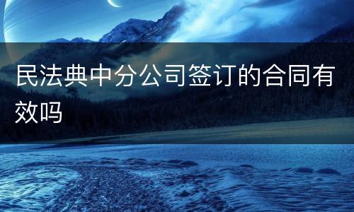 民法典中分公司签订的合同有效吗