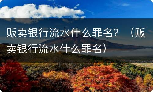 贩卖银行流水什么罪名？（贩卖银行流水什么罪名）