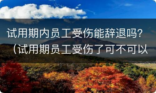 试用期内员工受伤能辞退吗？（试用期员工受伤了可不可以解雇）