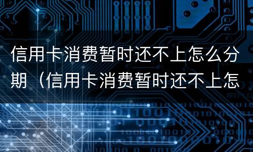 信用卡消费暂时还不上怎么分期（信用卡消费暂时还不上怎么分期还不了）