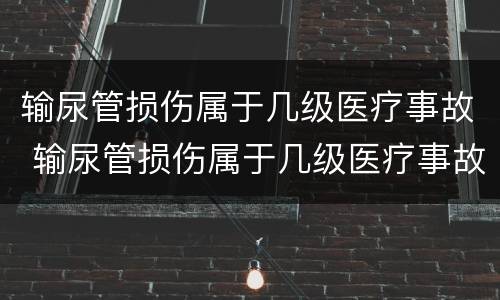输尿管损伤属于几级医疗事故 输尿管损伤属于几级医疗事故范围