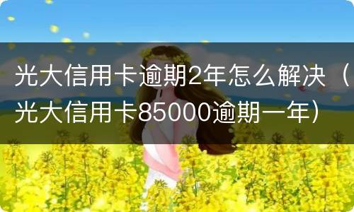 光大信用卡逾期2年怎么解决（光大信用卡85000逾期一年）