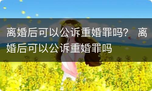 离婚后可以公诉重婚罪吗？ 离婚后可以公诉重婚罪吗