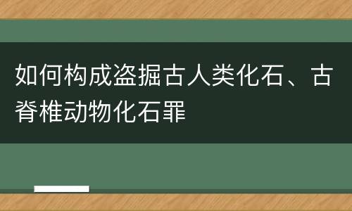 如何构成盗掘古人类化石、古脊椎动物化石罪