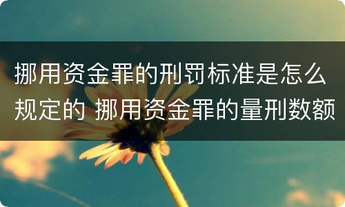 挪用资金罪的刑罚标准是怎么规定的 挪用资金罪的量刑数额