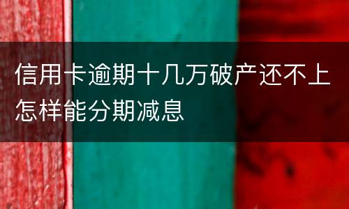 信用卡逾期十几万破产还不上怎样能分期减息