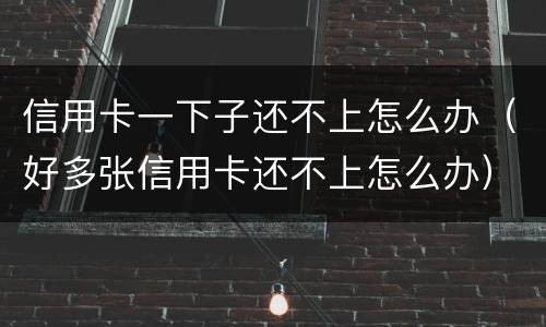 信用卡一下子还不上怎么办(好多张信用卡还不上怎么办)