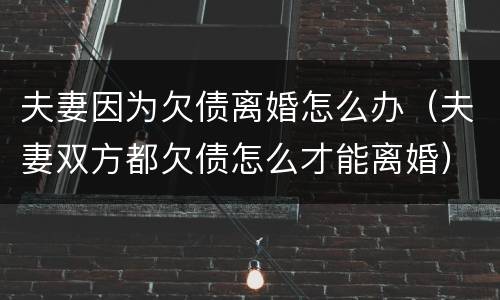 夫妻因为欠债离婚怎么办（夫妻双方都欠债怎么才能离婚）