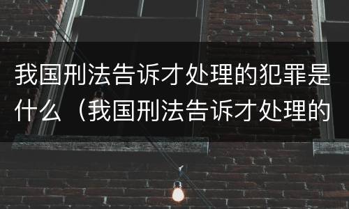 我国刑法告诉才处理的犯罪是什么（我国刑法告诉才处理的犯罪是什么意思）