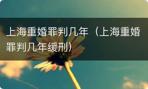 上海重婚罪判几年（上海重婚罪判几年缓刑）