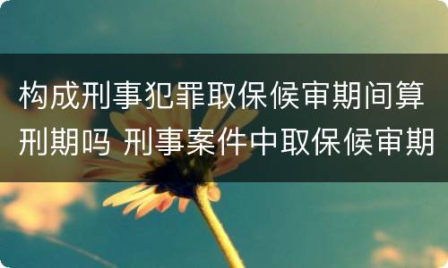 构成刑事犯罪取保候审期间算刑期吗 刑事案件中取保候审期间算不算刑期