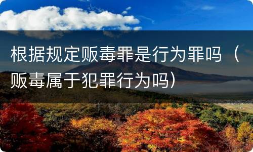 根据规定贩毒罪是行为罪吗（贩毒属于犯罪行为吗）