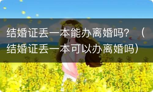 结婚证丢一本能办离婚吗？（结婚证丢一本可以办离婚吗）