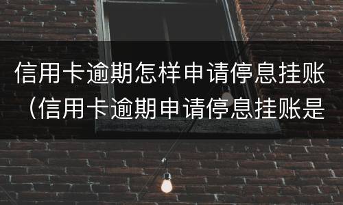 信用卡逾期怎样申请停息挂账（信用卡逾期申请停息挂账是真的吗）