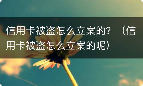 信用卡被盗怎么立案的？（信用卡被盗怎么立案的呢）
