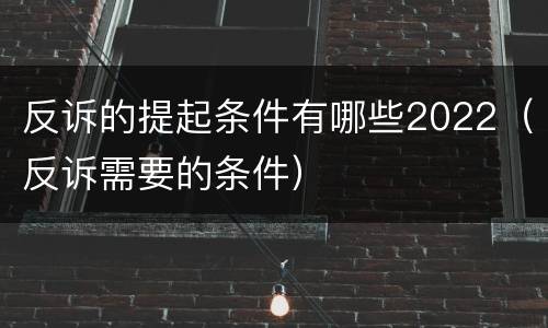 反诉的提起条件有哪些2022（反诉需要的条件）