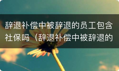 辞退补偿中被辞退的员工包含社保吗（辞退补偿中被辞退的员工包含社保吗）
