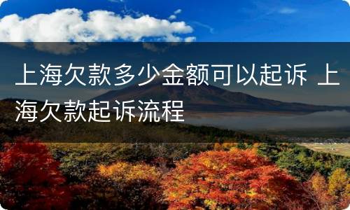 上海欠款多少金额可以起诉 上海欠款起诉流程