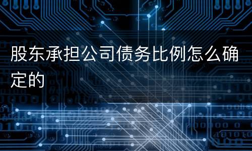 股东承担公司债务比例怎么确定的