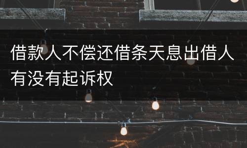 借款人不偿还借条天息出借人有没有起诉权