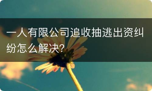 一人有限公司追收抽逃出资纠纷怎么解决？