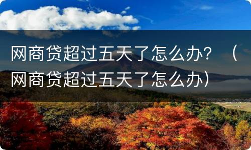网商贷超过五天了怎么办？（网商贷超过五天了怎么办）
