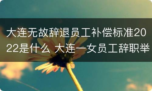 大连无故辞退员工补偿标准2022是什么 大连一女员工辞职举报