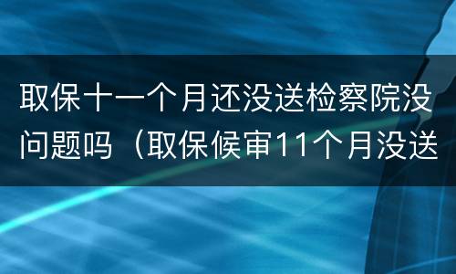 取保十一个月还没送检察院没问题吗（取保候审11个月没送检）