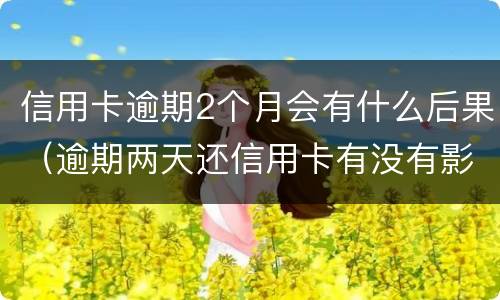 信用卡逾期2个月会有什么后果（逾期两天还信用卡有没有影响）
