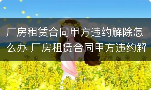 厂房租赁合同甲方违约解除怎么办 厂房租赁合同甲方违约解除怎么办手续