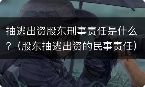 抽逃出资股东刑事责任是什么?（股东抽逃出资的民事责任）