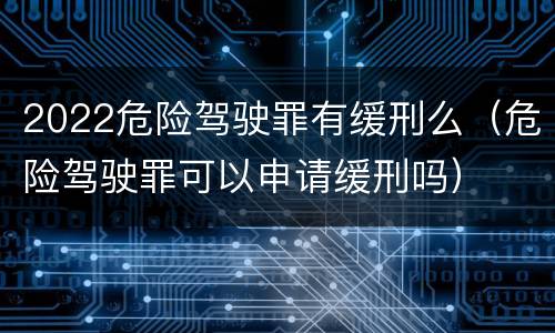 2022危险驾驶罪有缓刑么（危险驾驶罪可以申请缓刑吗）