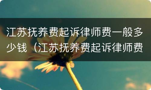 江苏抚养费起诉律师费一般多少钱（江苏抚养费起诉律师费一般多少钱一次）