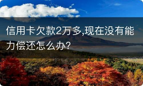 信用卡欠款2万多,现在没有能力偿还怎么办？
