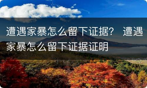 遭遇家暴怎么留下证据？ 遭遇家暴怎么留下证据证明
