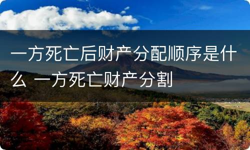 一方死亡后财产分配顺序是什么 一方死亡财产分割