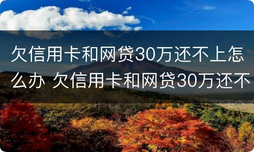 欠信用卡和网贷30万还不上怎么办 欠信用卡和网贷30万还不上怎么办呢