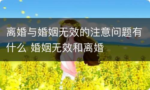 离婚与婚姻无效的注意问题有什么 婚姻无效和离婚