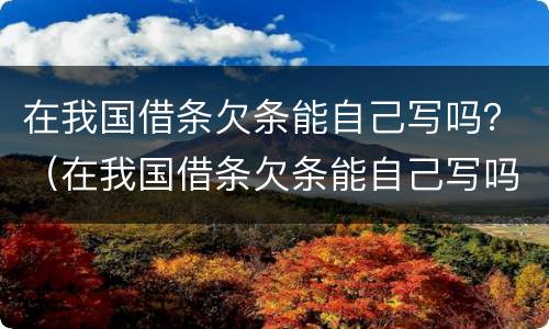 在我国借条欠条能自己写吗?(在我国借条欠条能自己写吗)
