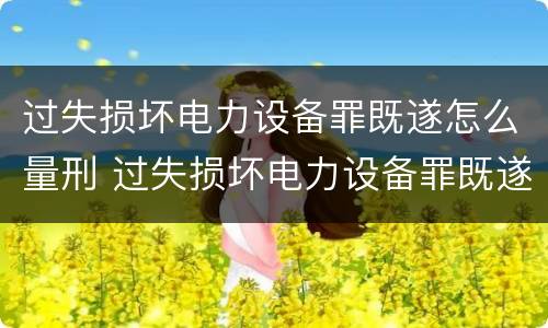 过失损坏电力设备罪既遂怎么量刑 过失损坏电力设备罪既遂怎么量刑的